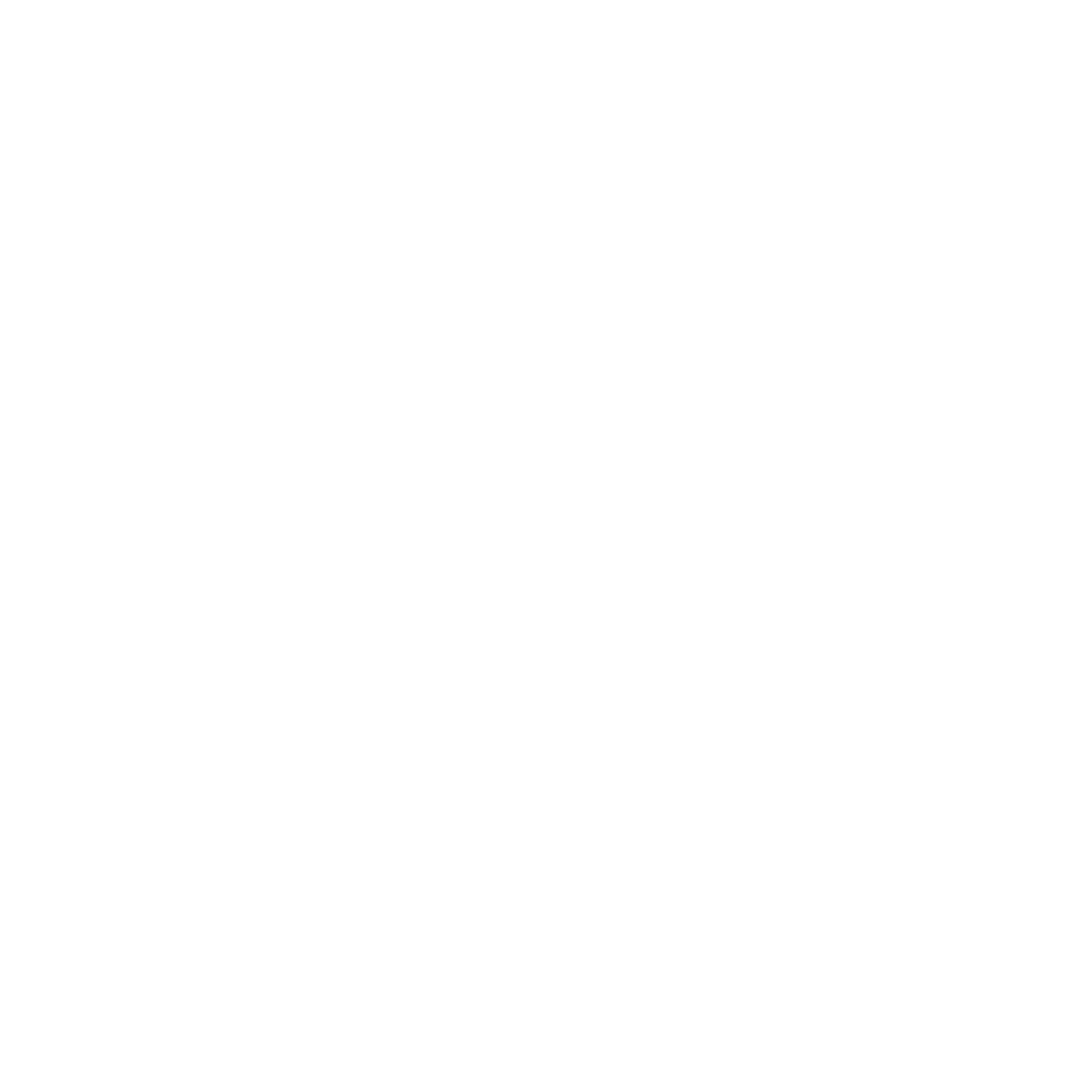 Logo Lalideco blanc